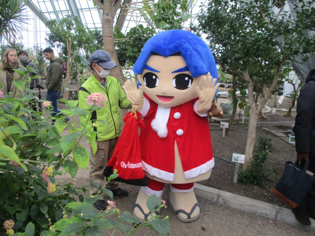 🎅第19回クリスマスコンサートの開催🎄 | 函館市熱帯植物園